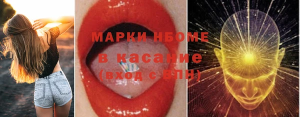 прущий лед Алзамай